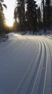 Valokuva hiihtoladusta metsän keskellä